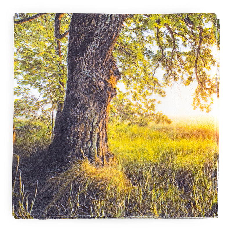 Vie Home Servietter 20-pk 33x33 cm Sensommer