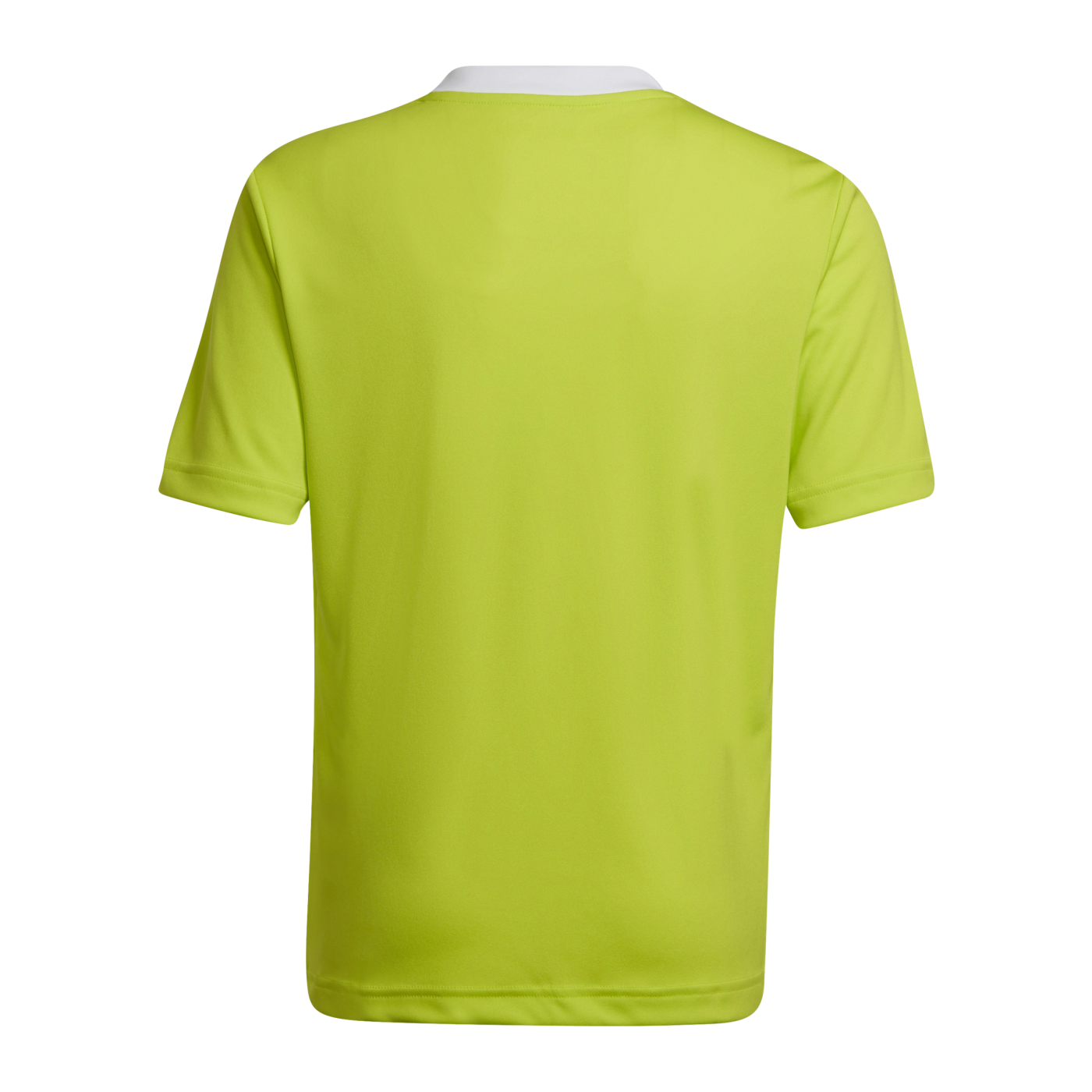 adidas Entrada 22 Trikot Kids Grün Weiss