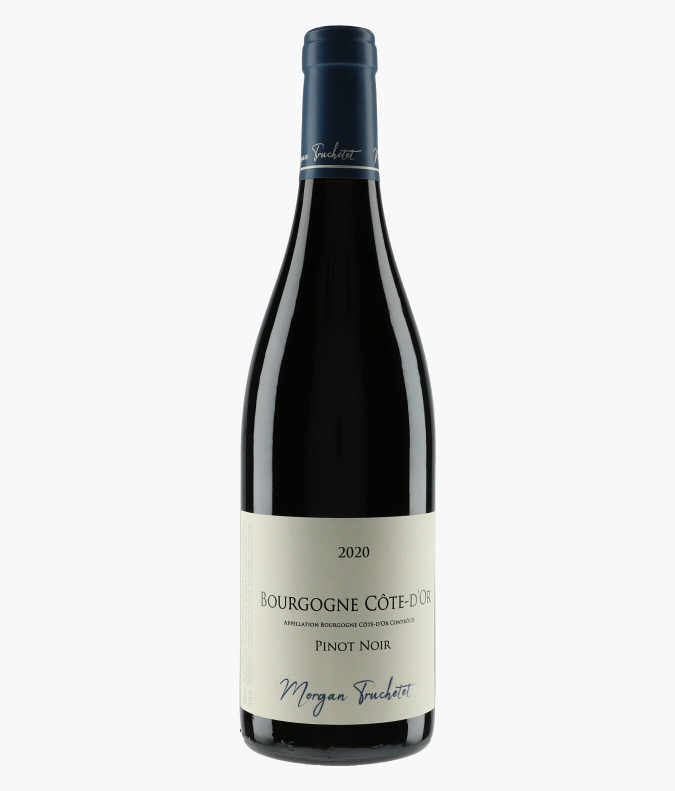 Bourgogne Côte d'Or 2020TRUCHETET