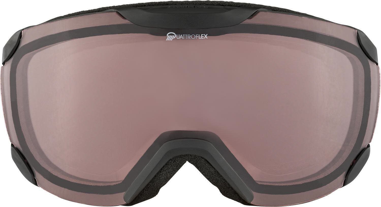 Alpina Skibrille