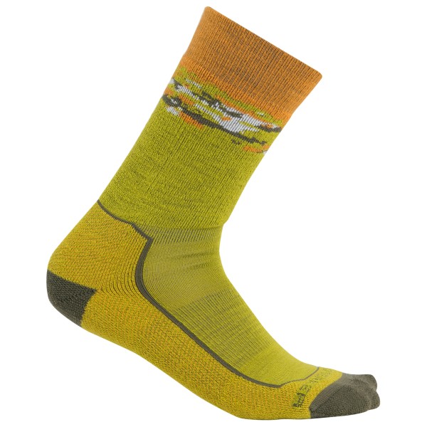 Icebreaker - Hike+ Medium Crew Sedimentary - Wandersocken