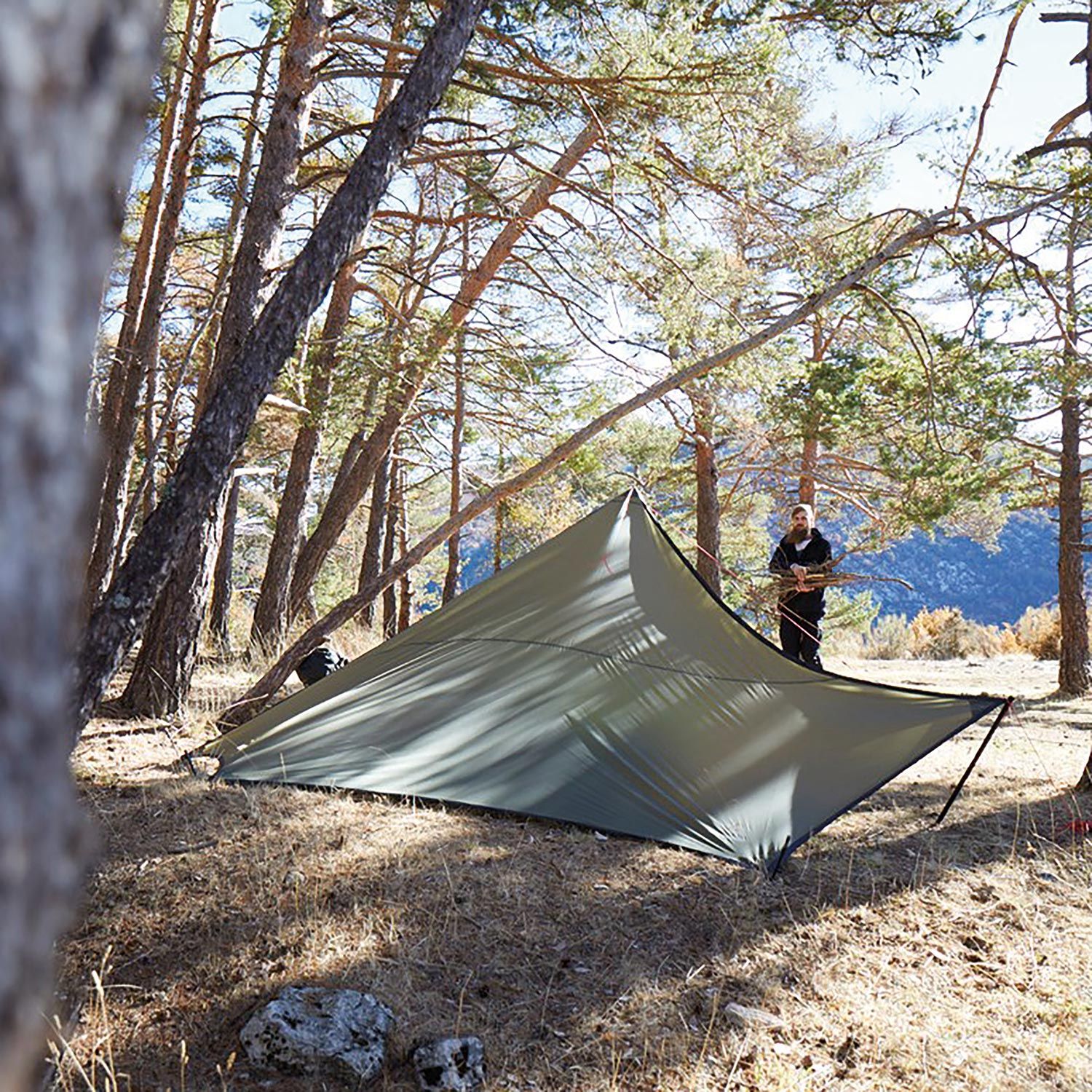 Tarp Zuni Ray