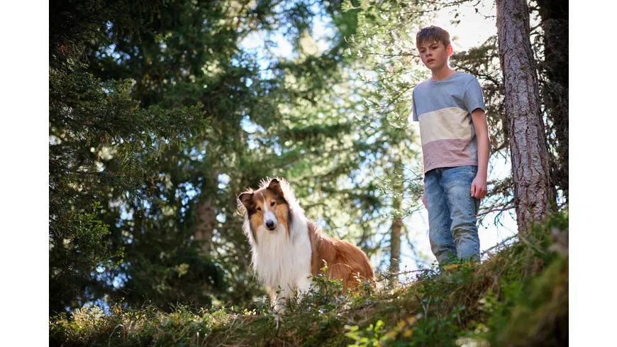 Lassie - Ein neues Abenteuer
