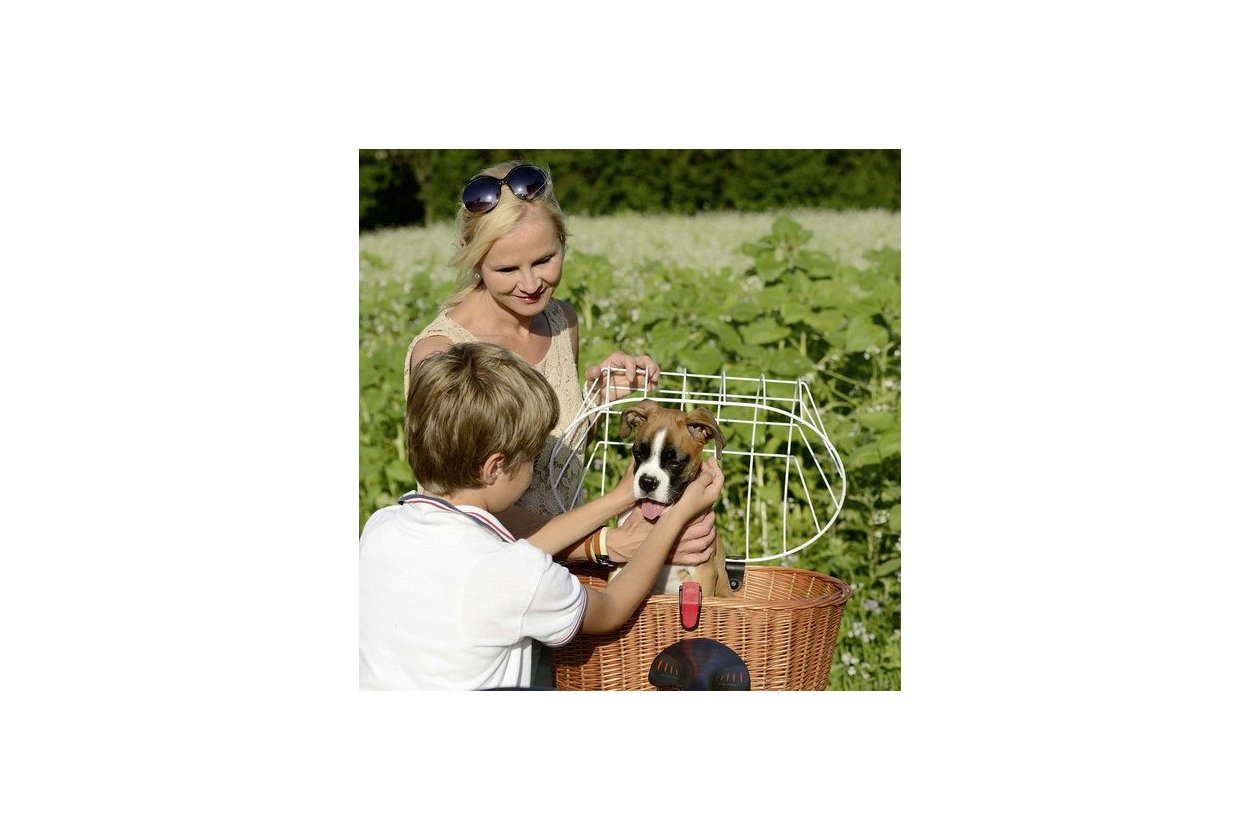 KLICKfix by Rixen&Kaul Doggy Basket Fix