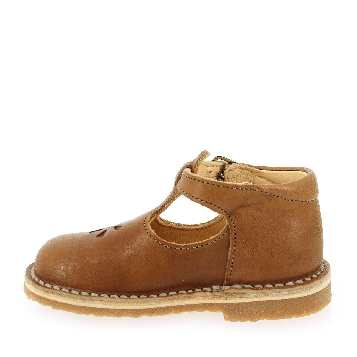 Aster  BIMBO 2 - Camel