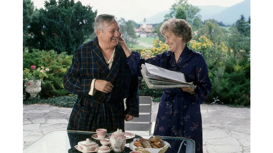 Waldhaus - Die komplette ZDF-Serie in 18 Teilen (Fernsehjuwelen)  [6 DVDs]