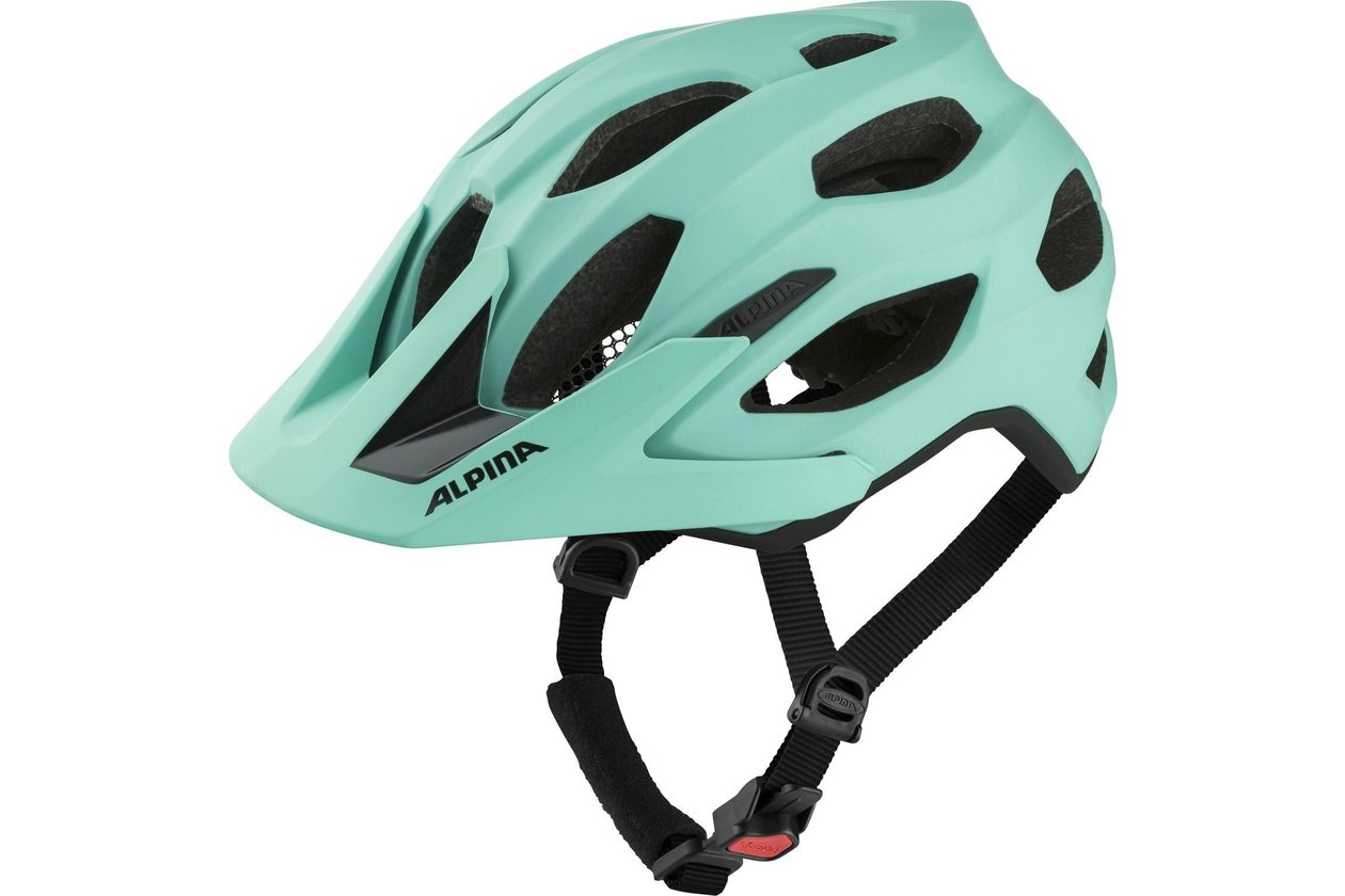 Alpina Carapax 2.0