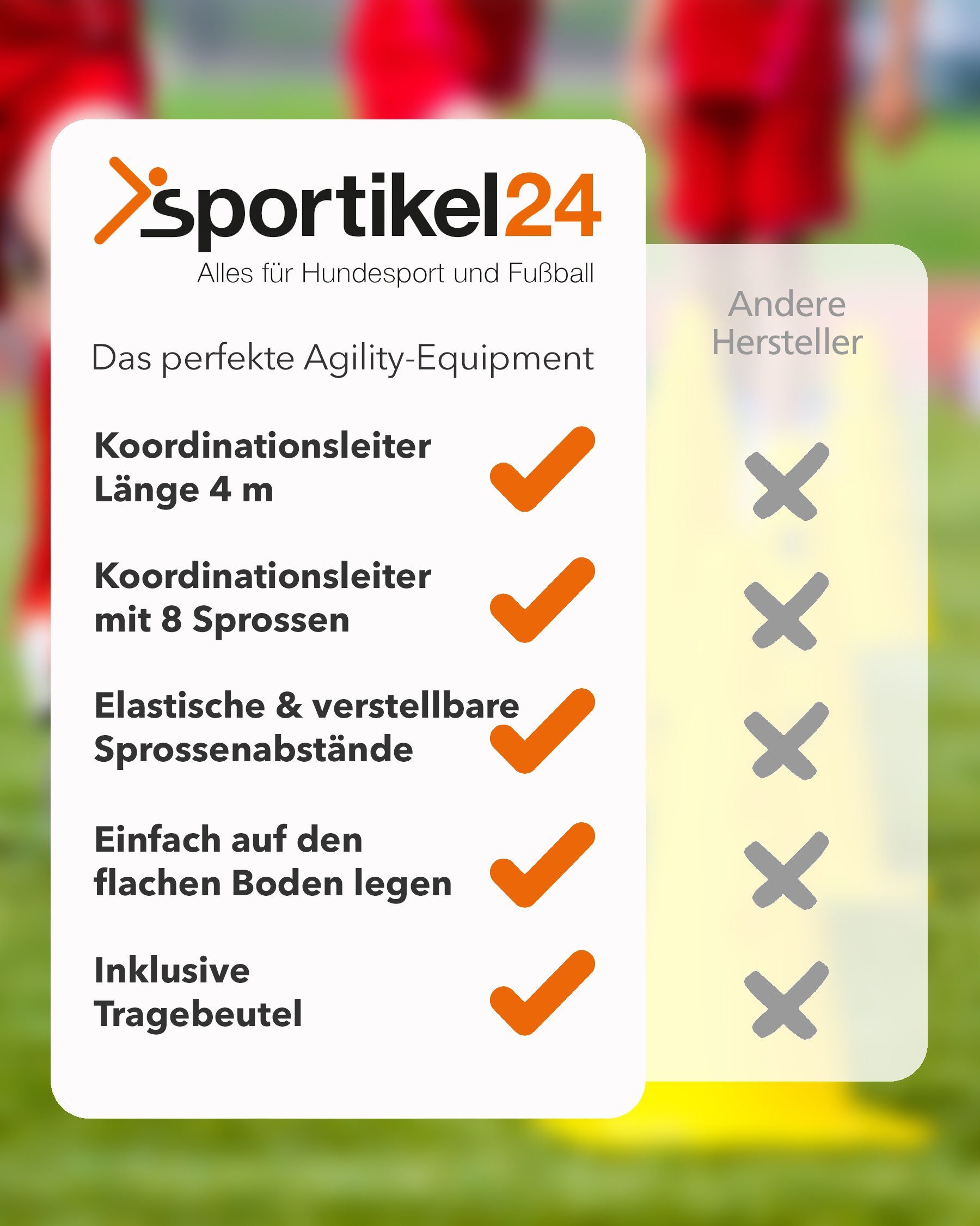 SPORTIKEL24 Koordinationsleiter Koordinationsleiter 4 m