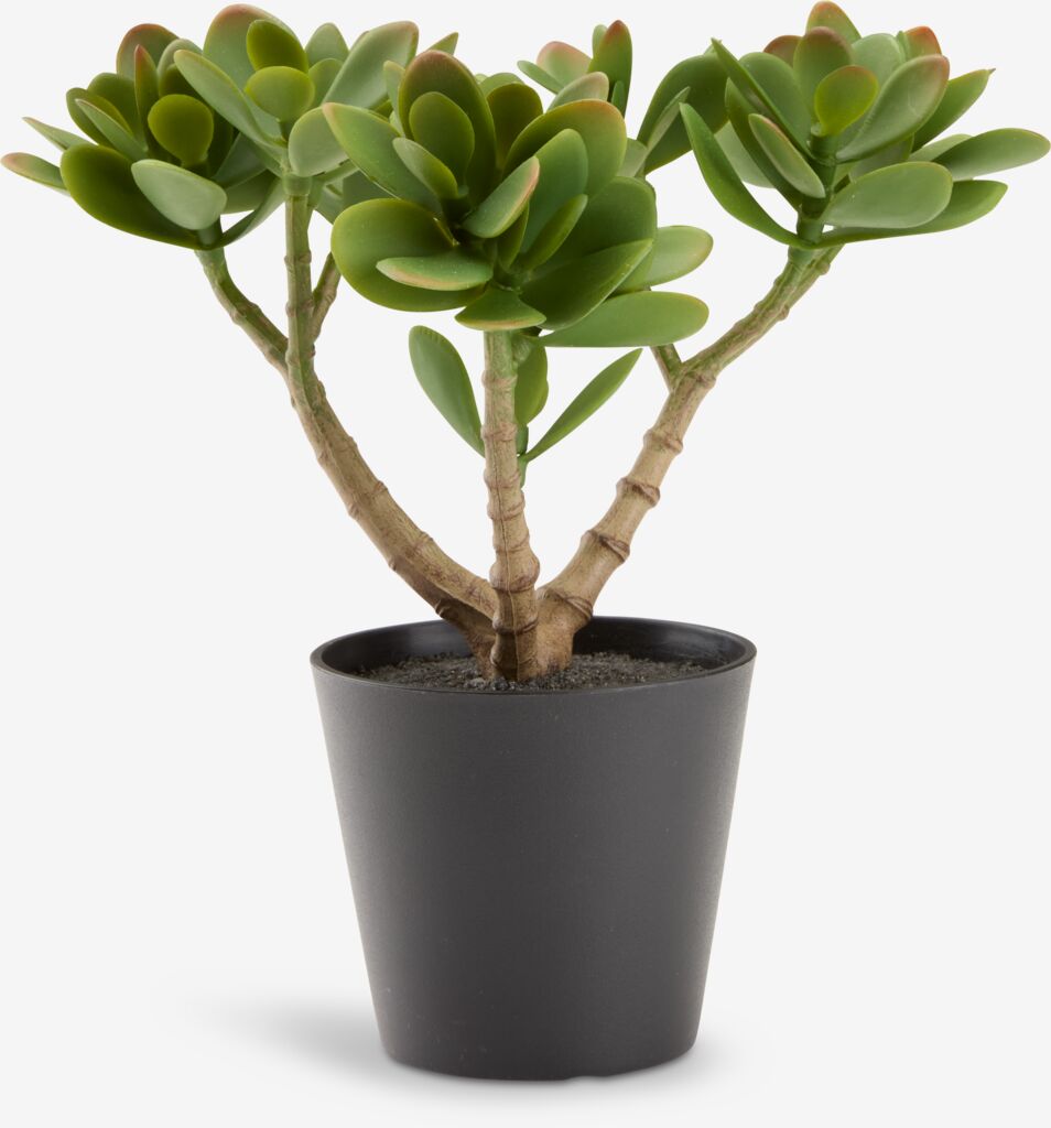 JOSTEIN Sztuczna roślina JOSTEIN W23cm zielona