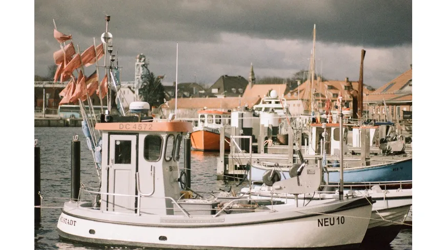 originalWOLFEN Classic Color Negativ Film NC500-36