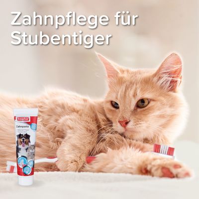 Beaphar Zahnpflege-Set