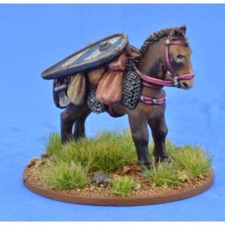 Pack Pony (Kite Shield)