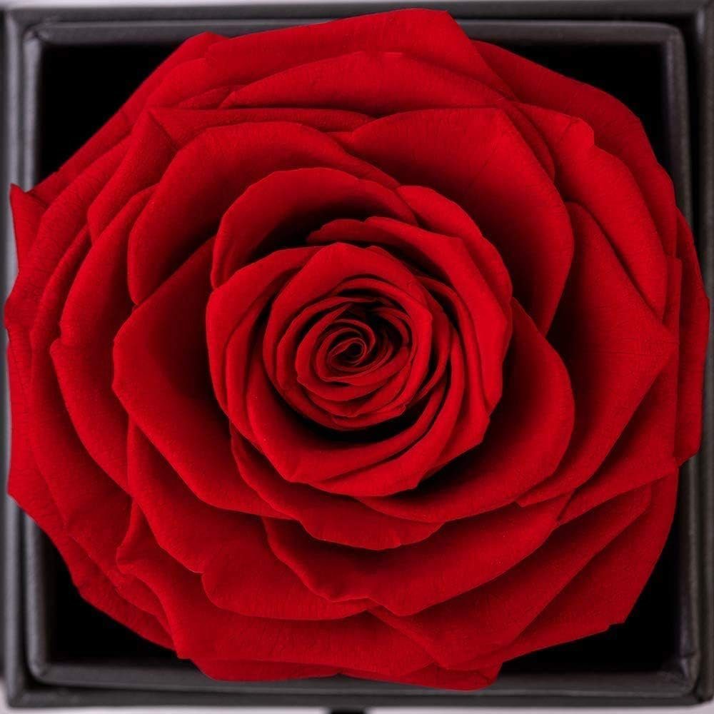 AKKEE Schmuckkasten Rose Handgemachte konservierte Rose Schmuck Geschenkbox (1 St), Ewige Rose im Schmuckschatulle Geschenkboxen mit Rote Rosen Blumen