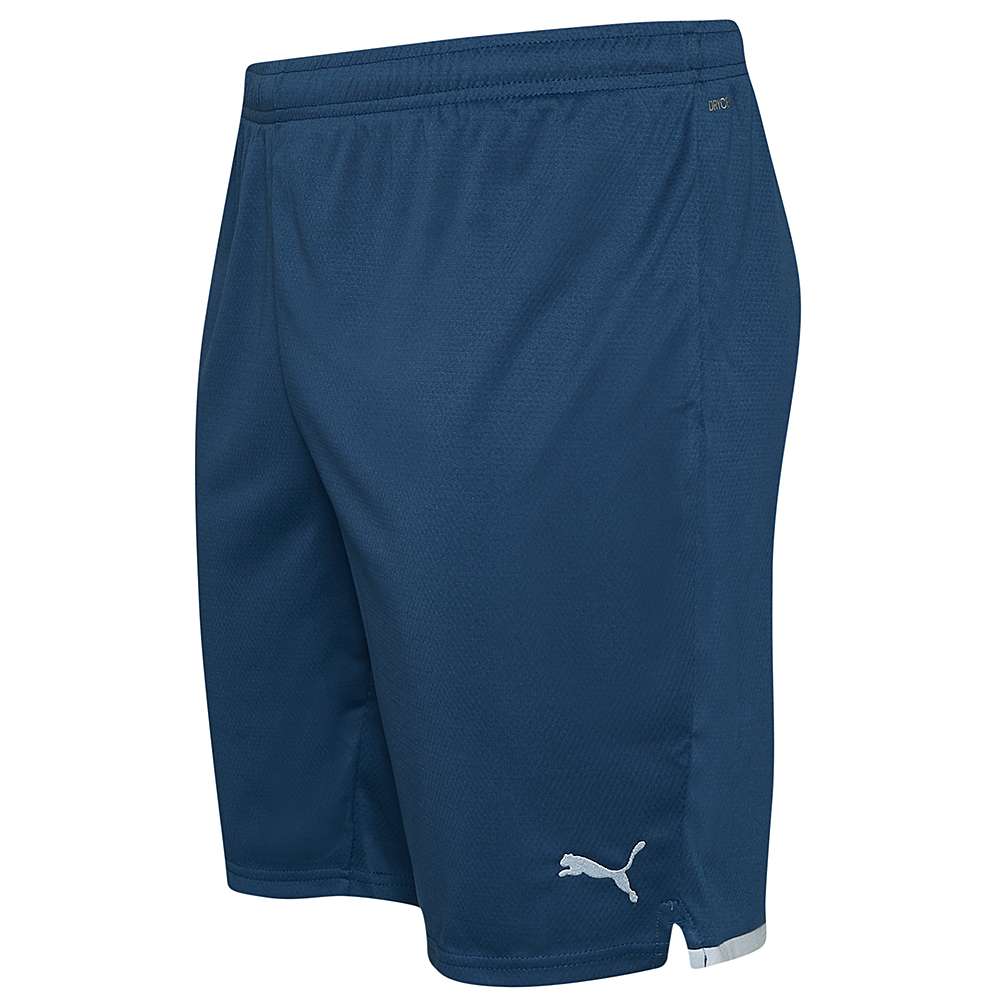 FC Girona PUMA Herren Ausweich Shorts 768840-05