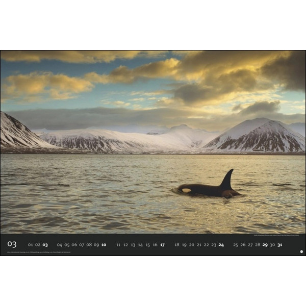 DIE LETZTE WILDNIS EDITION 2024 - Kalender