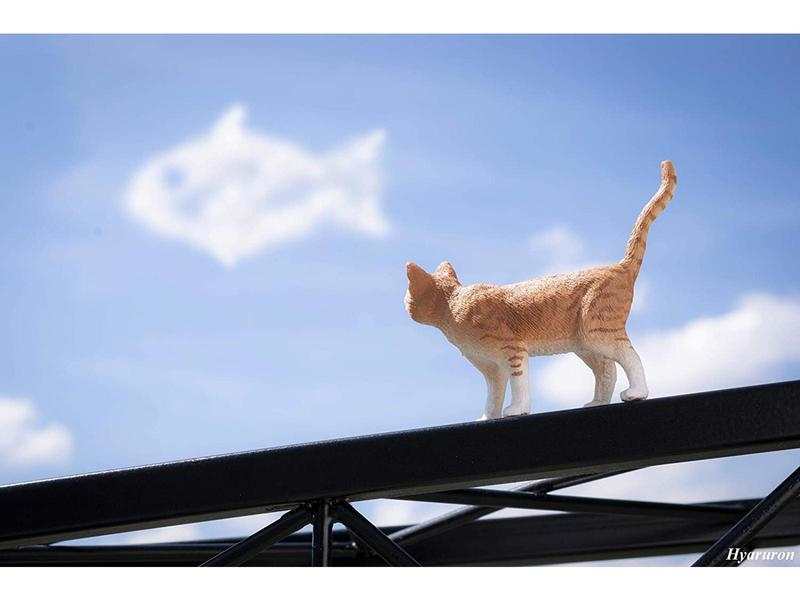 Chat