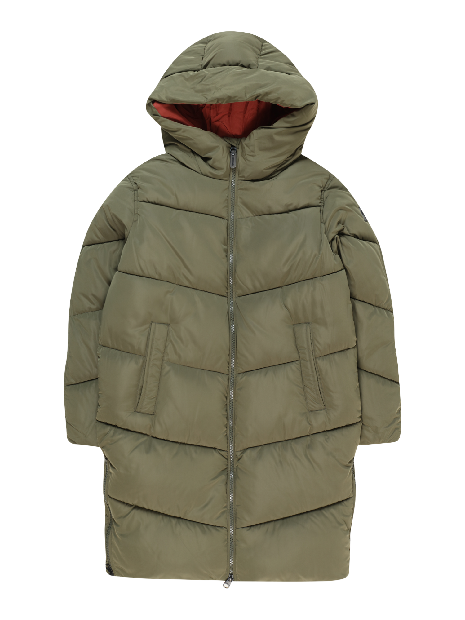 Winter Jacket