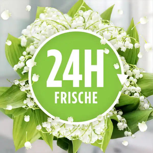 Allzweckreiniger Frühlingsblumen