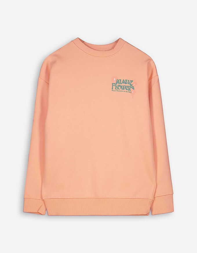 Sweatshirt - Rückenprint