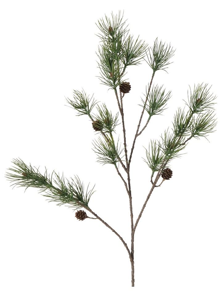 Boltze Dekozweig 