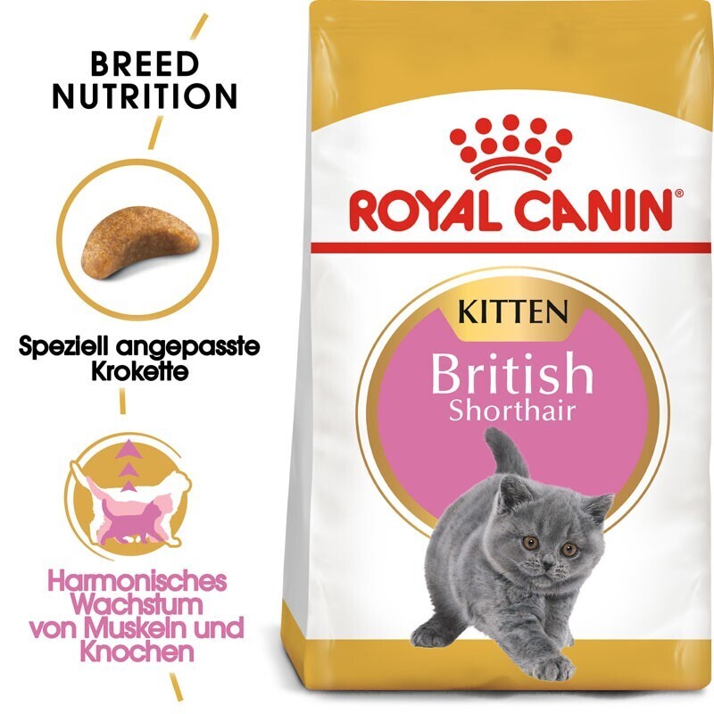 ROYAL CANIN Trockenfutter ROYAL CANIN British Shorthair Kitten 2 kg
