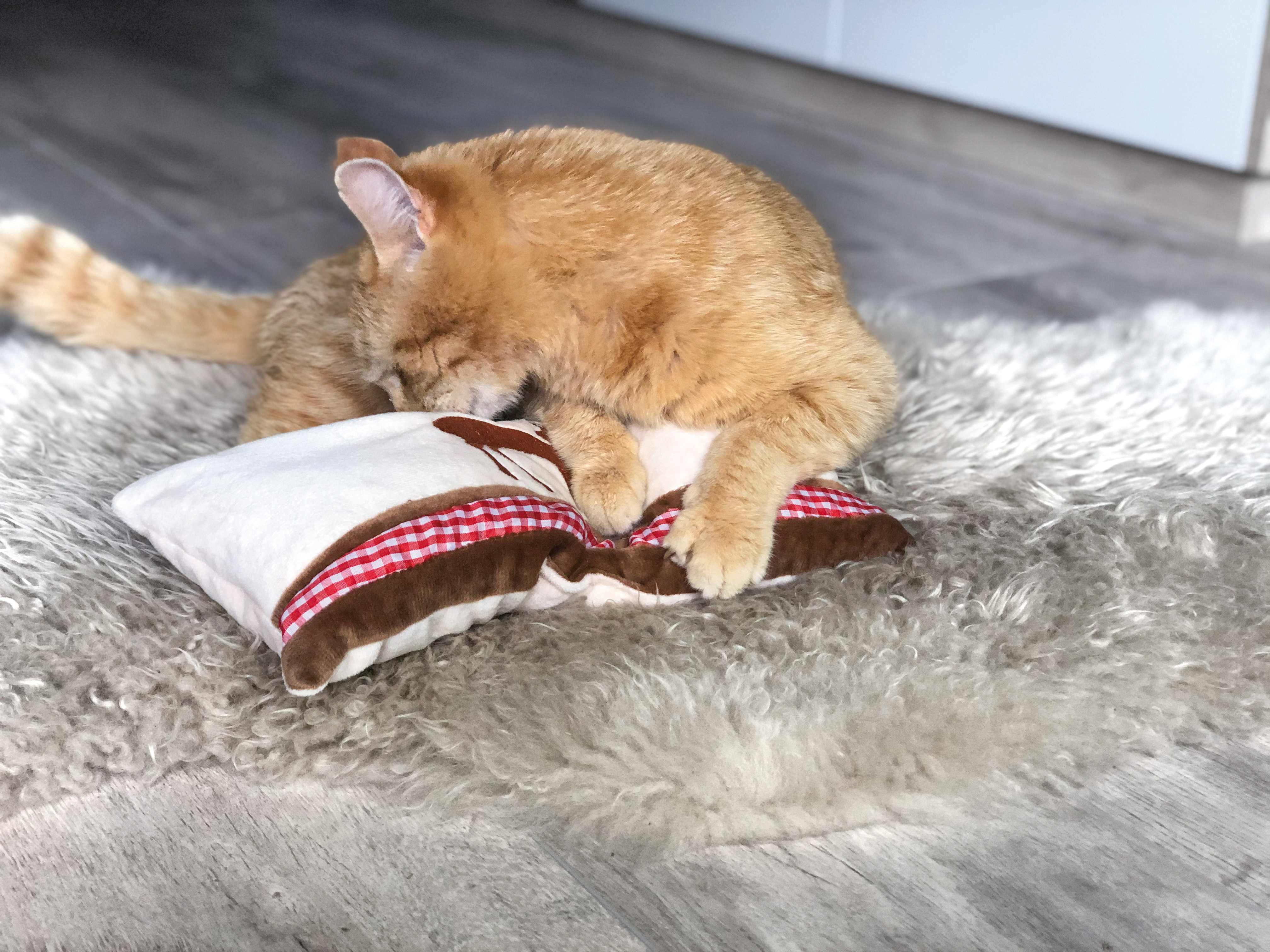 Aumüller Baldrian & Catnipspielzeug Aumüller Spielkissen Hirsch Kissen L