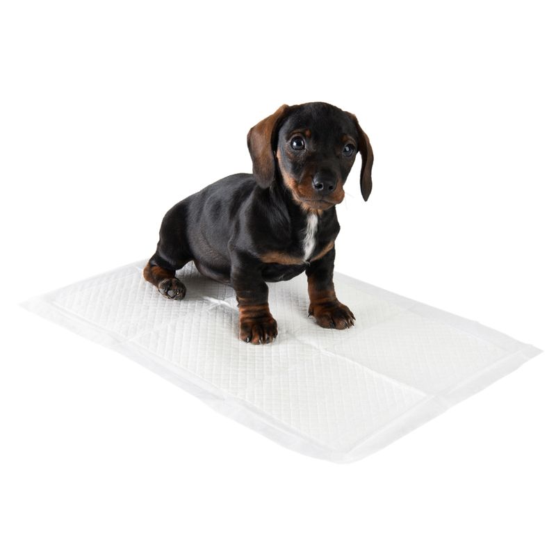zooplus Trainingsunterlage für Hundewelpen