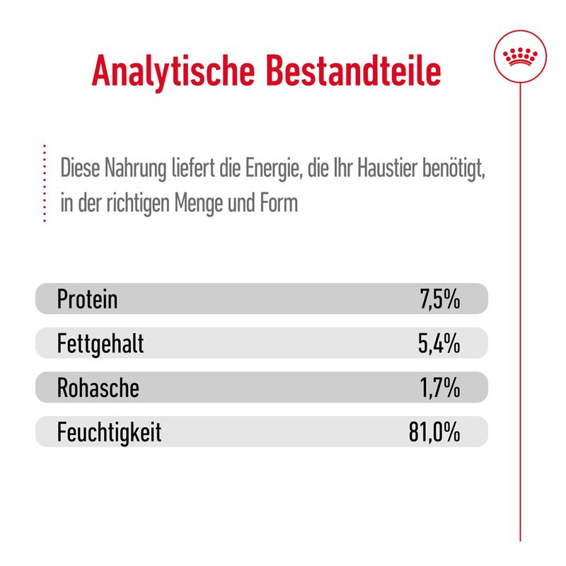 Royal Canin Medium Adult in Soße zu TOP-Preisen