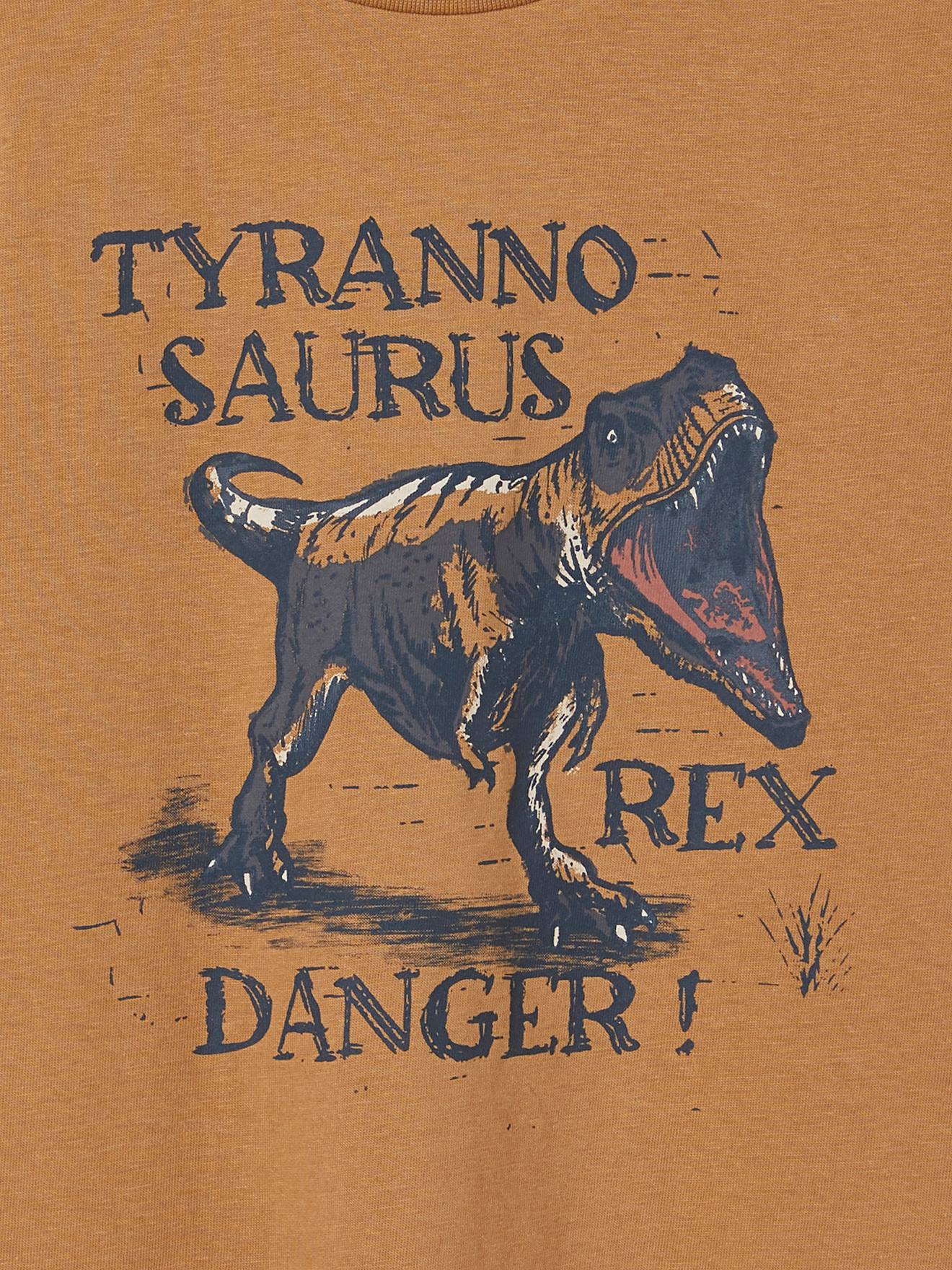 Vertbaudet Jungen T-Shirt mit Dino-Print, Recycling-Baumwolle - graublau