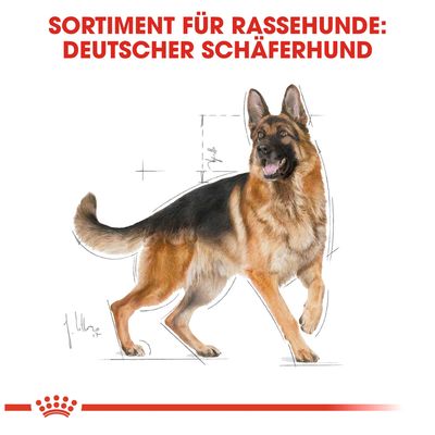 Royal Canin German Shepherd Adult