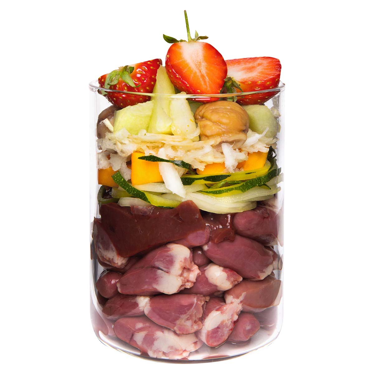 Terra Canis getreidefrei Ente mit Kürbis, Erdbeeren und Holunder