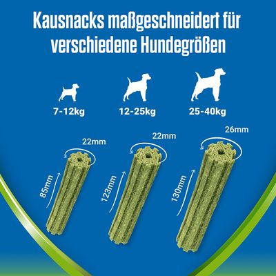 PURINA Dentalife Active Fresh Tägliche Zahnpflege-Snacks für kleine Hunde