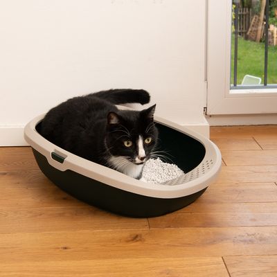 kooa Schalentoilette aus 100% recyceltem Plastik
