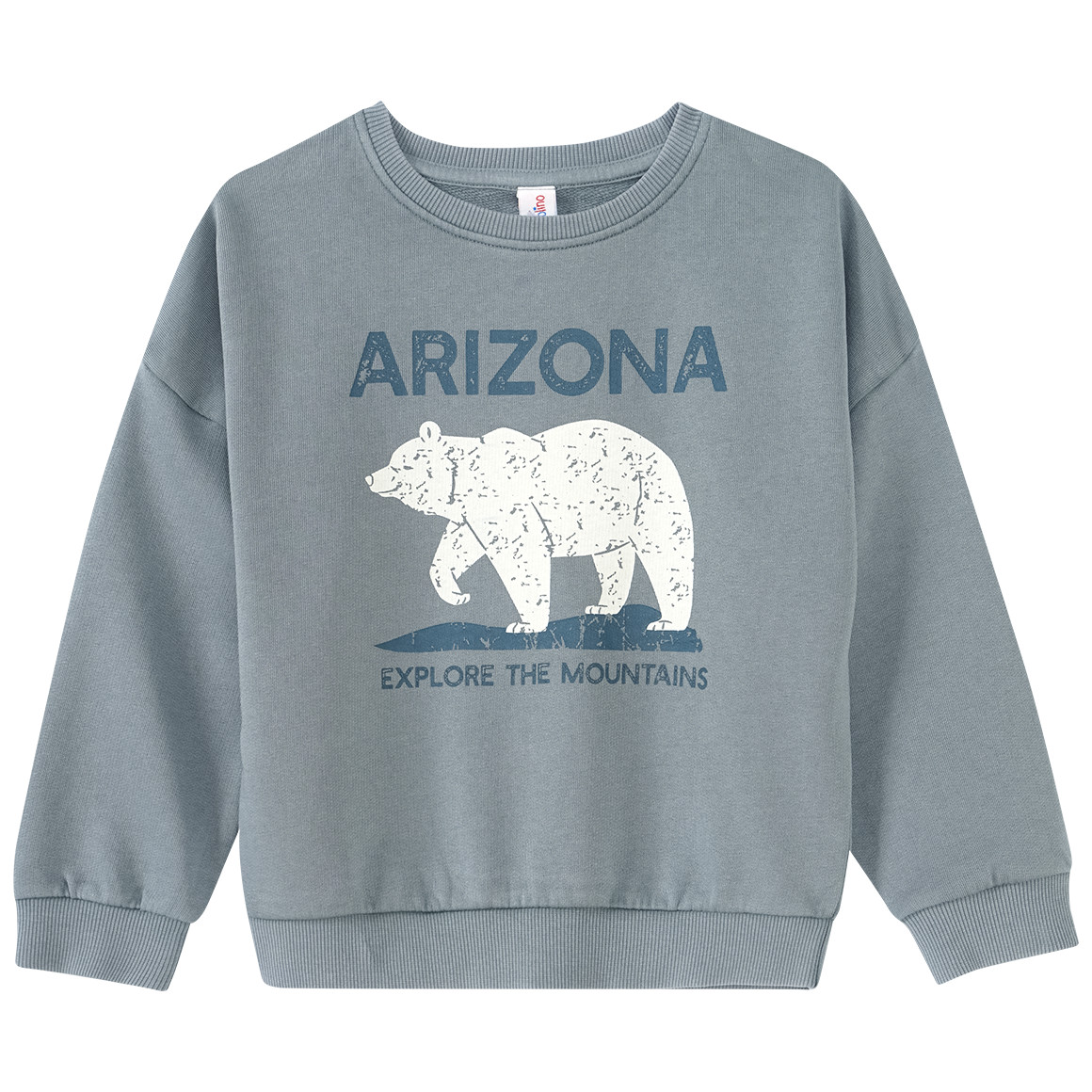 Jungen Sweatshirt mit Front-Print