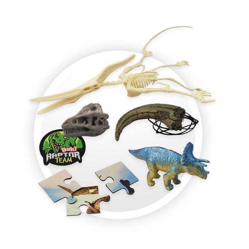 Dino surprise box Buki