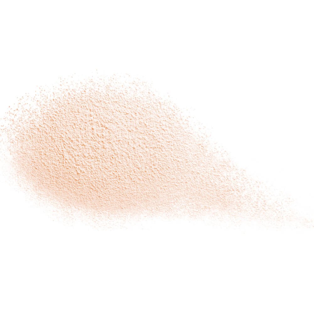 Shiseido Future Solution LX Total Radiance Loose Powder
