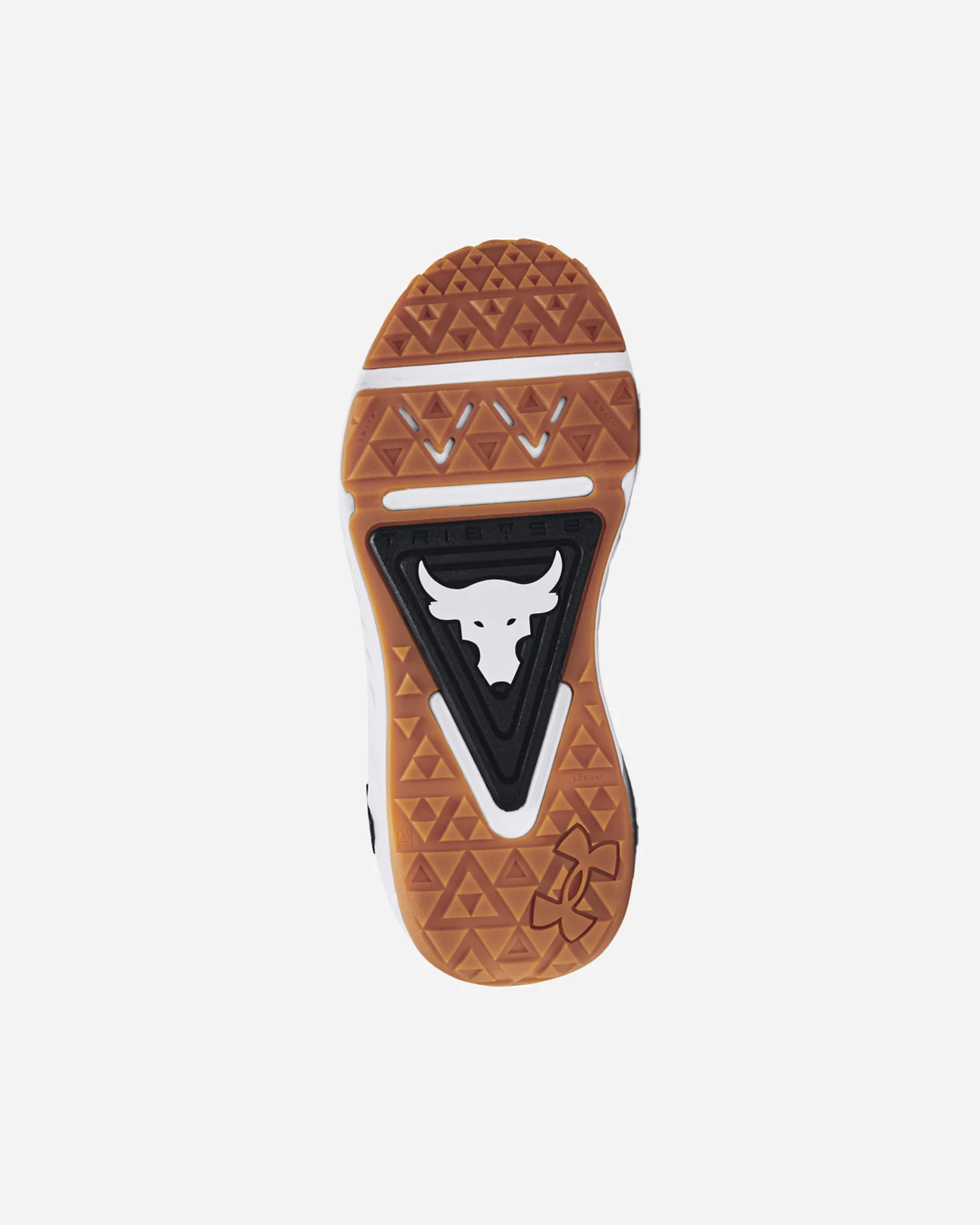 Scarpe Training Under Armour Project Rock 6 W 77-3026535-0002