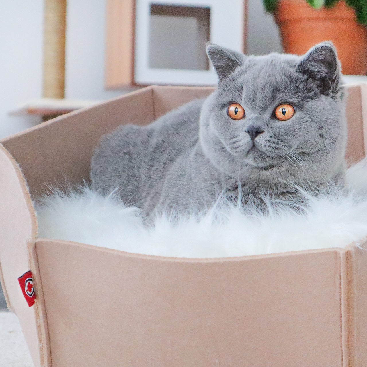 Canadian Cat Company Katzenbetten & Katzensofas Canadian Cat Company Filzlounge AVA beige L