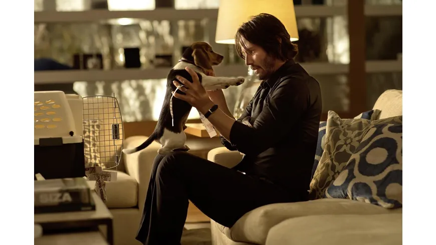 John Wick - Kapitel 1-3  [3 DVDs]