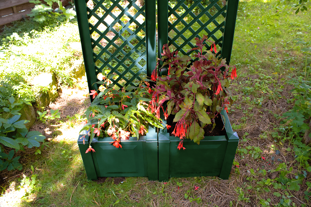 KHW Pflanzkasten klein mit Spalier 43 cm, grün - 2er Set