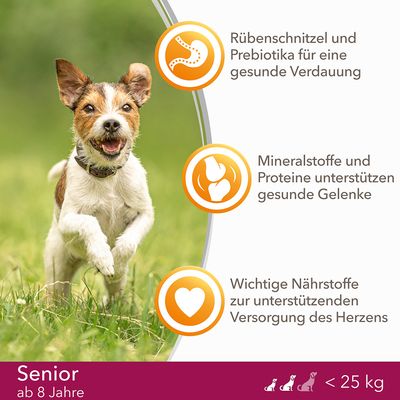 IAMS for Vitality Dog Senior & Mature Small Medium Huhn