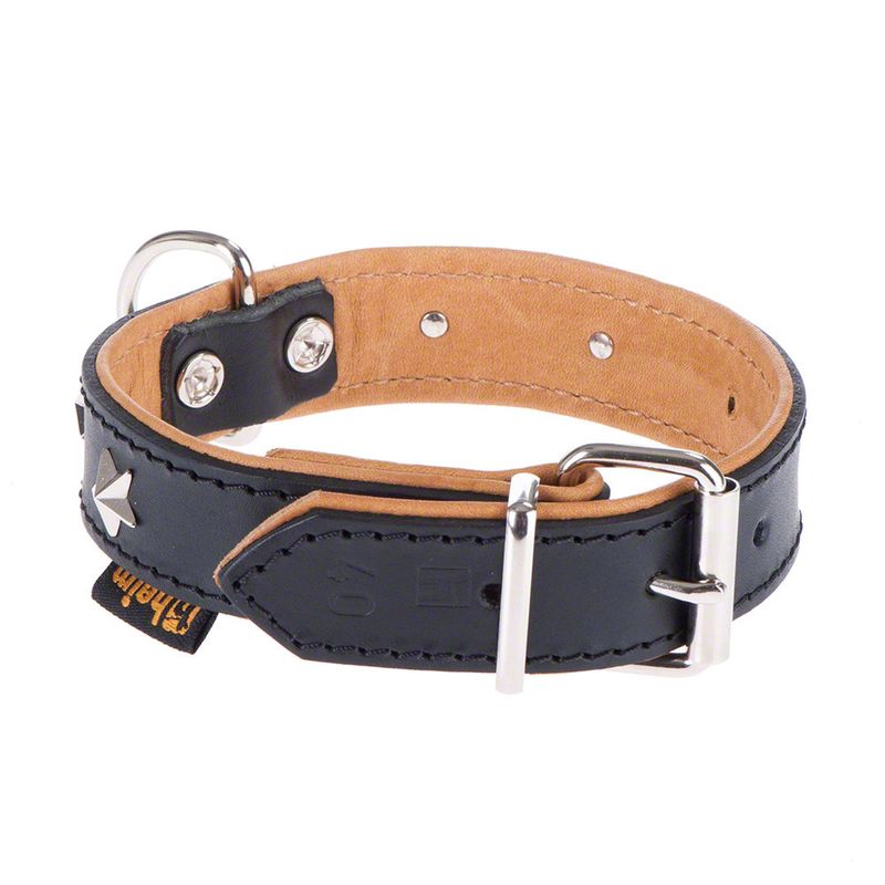 Heim Lederhalsband Stars zu TOP-Preisen