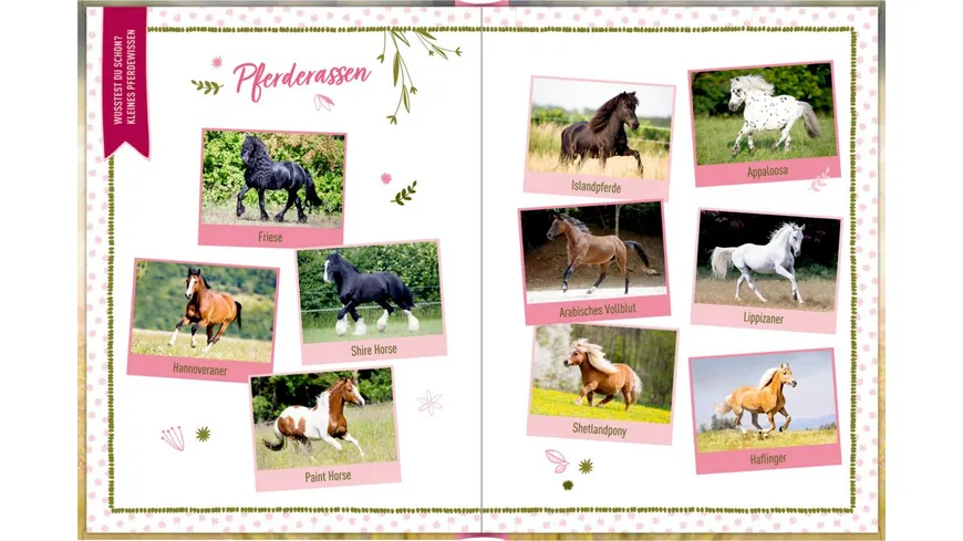 Coppenrath Verlag - Eintragbuch: I LOVE MY HORSE, Lieblingspferd und ich