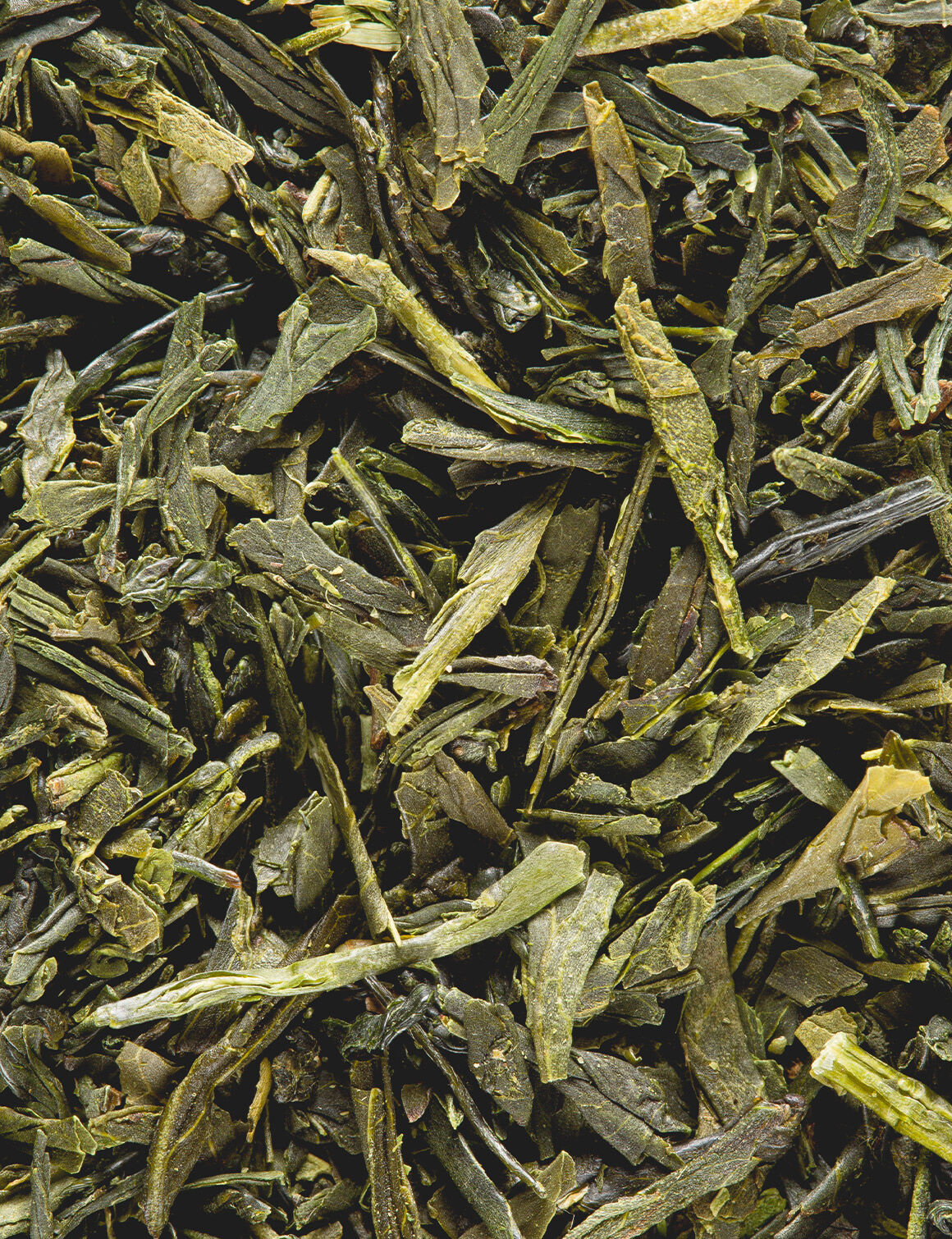 Sencha Fukuyu-25 sachets