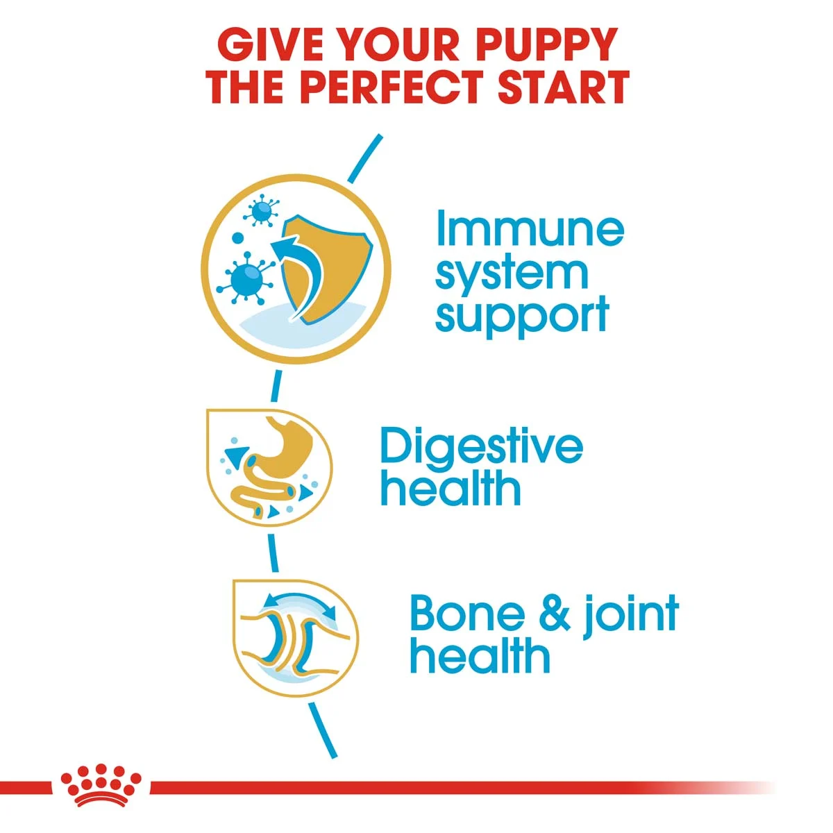 ROYAL CANIN Bulldog Puppy Welpenfutter trocken bei ZooRoyal