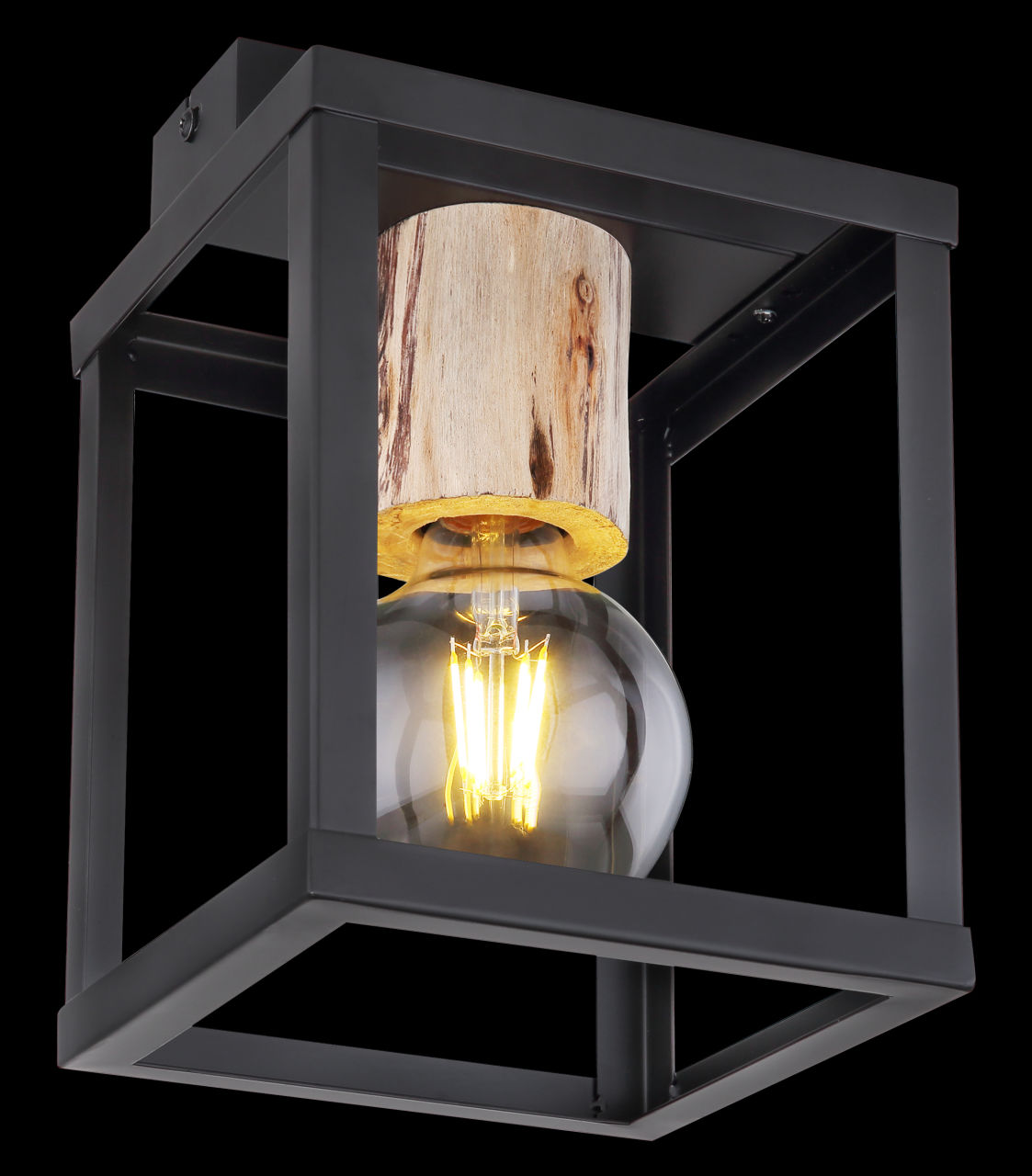 Globo Lighting - HAGAR - Deckenleuchte Metall schwarz matt, 1x E27