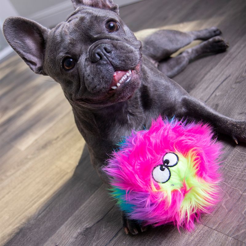goDog Hundespielzeug Furballz Regenbogen zu TOP-Preisen
