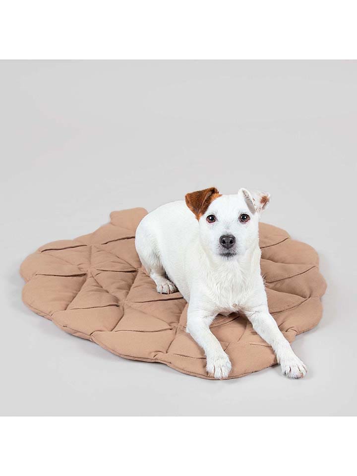 Paikka Hunde-Schnüffelteppich in Hellbraun günstig kaufen 80x62 cm