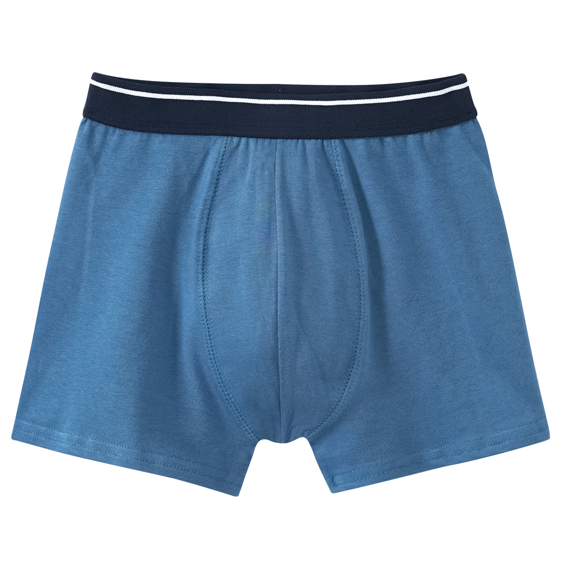 5 Jungen Boxer in verschiedenen Dessins