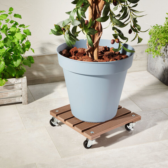 Pflanzenroller, braun, eckig